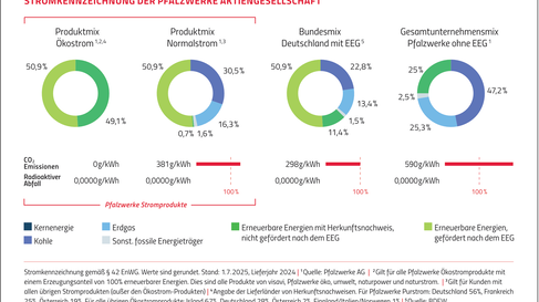 stromrechnung-verstehen-begriffe-und-beispiel-blog-pfalzwerke-de